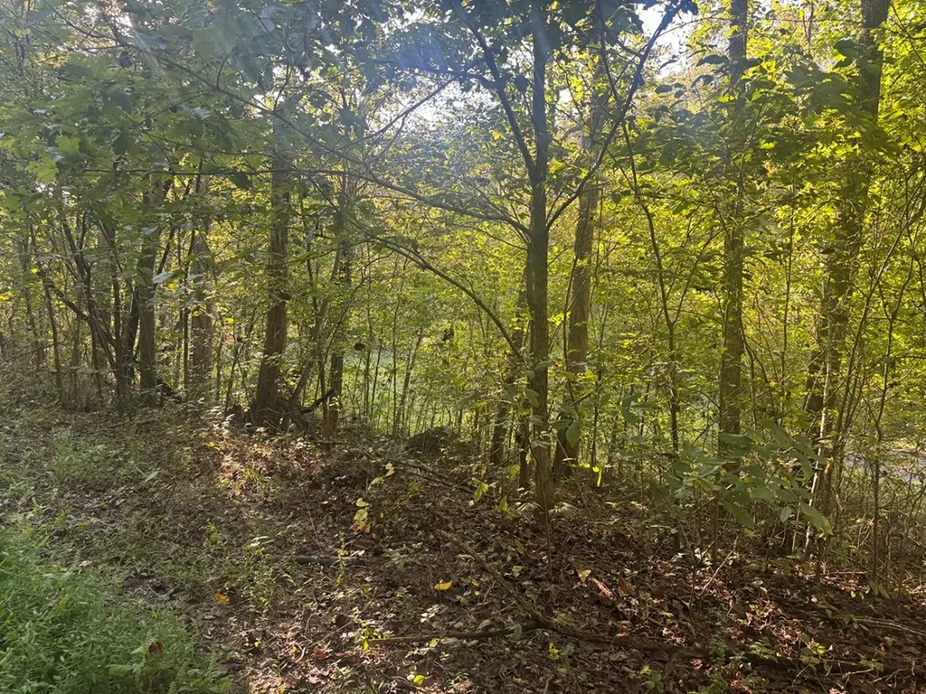 426 P Brewington Road Cookeville TN 38501