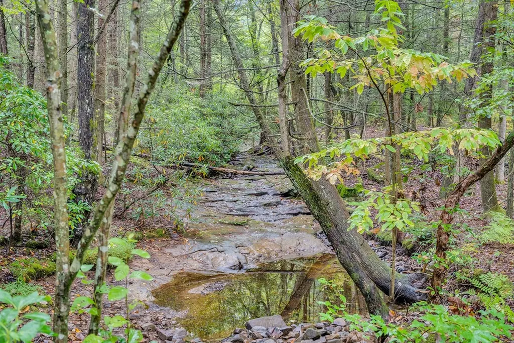 6573 Smith Mountain Road Crab Orchard TN 37723