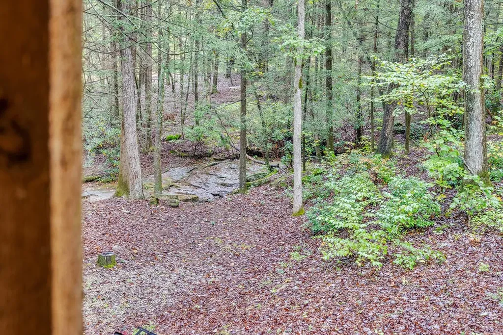 6573 Smith Mountain Road Crab Orchard TN 37723