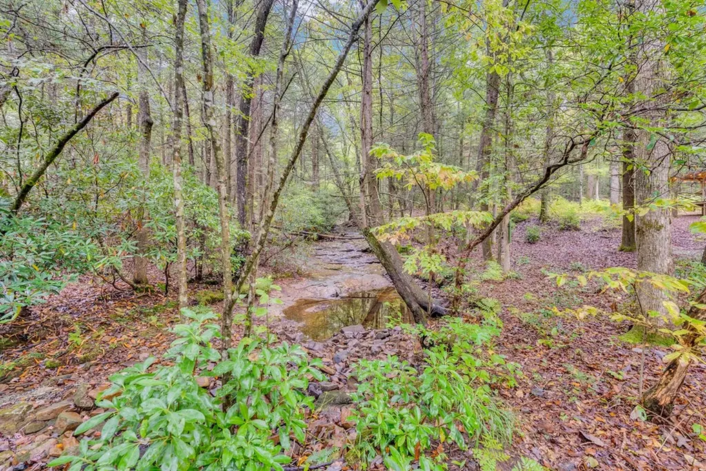 6573 Smith Mountain Road Crab Orchard TN 37723