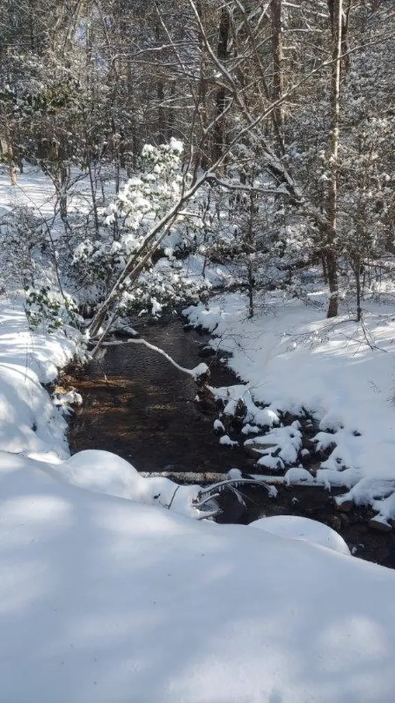 6573 Smith Mountain Road Crab Orchard TN 37723