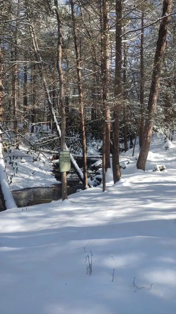 6573 Smith Mountain Road Crab Orchard TN 37723