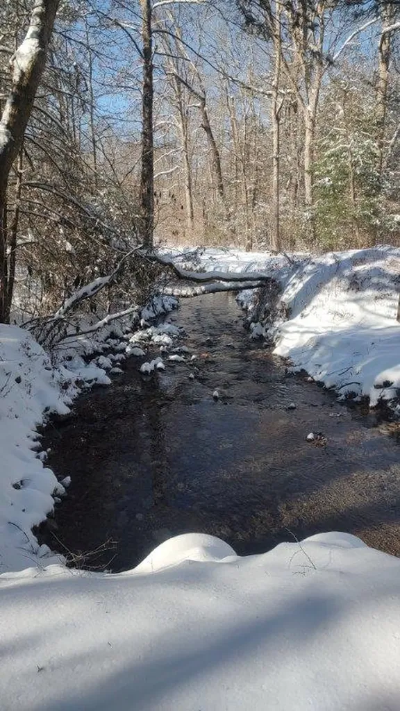 6573 Smith Mountain Road Crab Orchard TN 37723