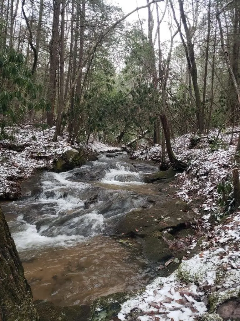 6573 Smith Mountain Road Crab Orchard TN 37723