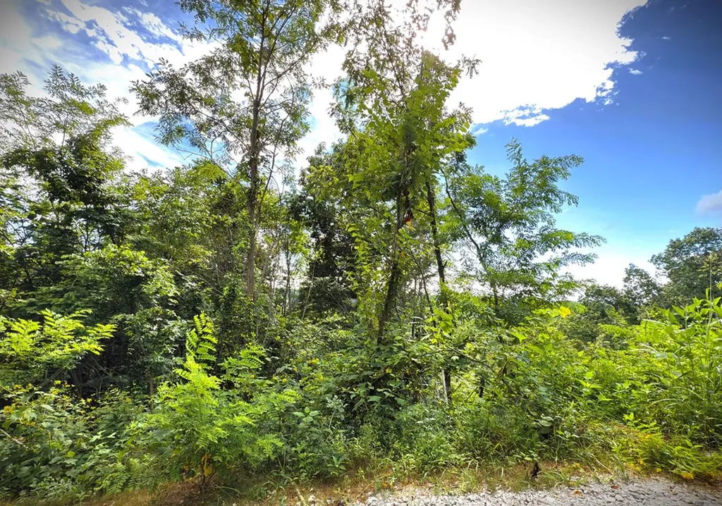 142C Sunfish Lane Hilham TN 38568