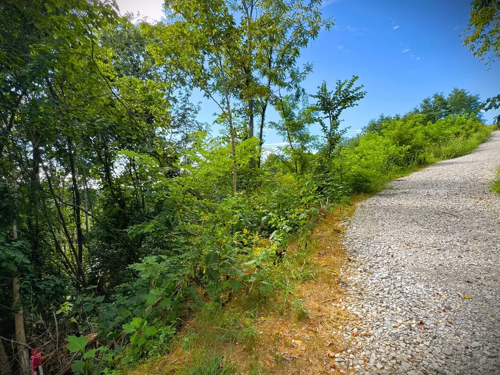 142C Sunfish Lane Hilham TN 38568