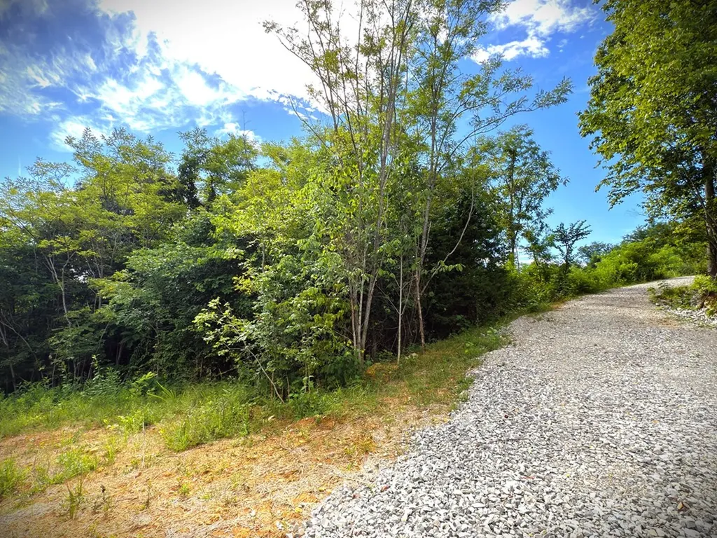 142C Sunfish Lane Hilham TN 38568