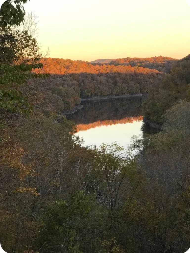 301 Jimmy Reneau Road Celina TN 38551