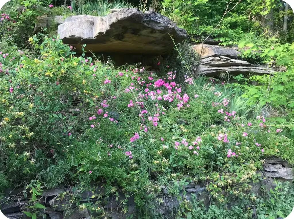 301 Jimmy Reneau Road Celina TN 38551