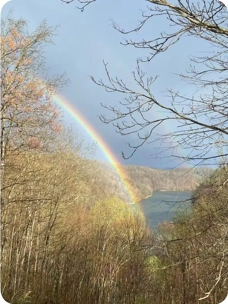 301 Jimmy Reneau Road Celina TN 38551