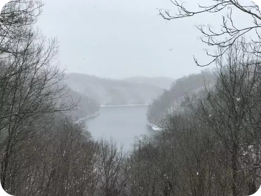 301 Jimmy Reneau Road Celina TN 38551