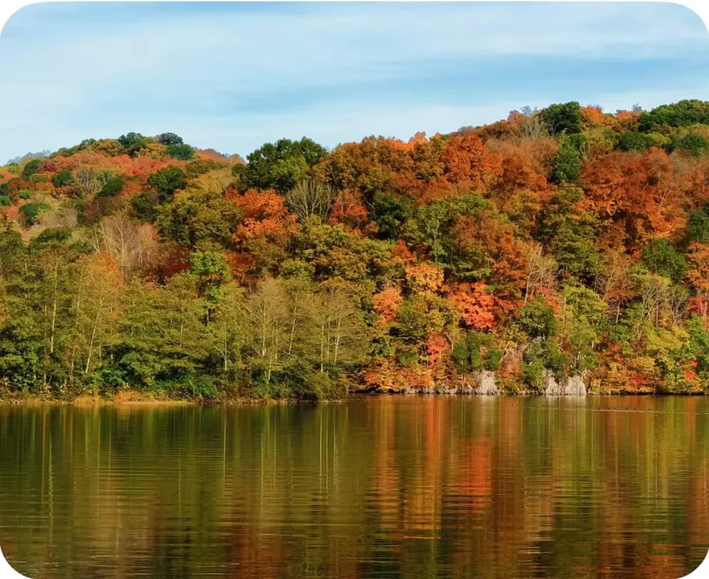 301 Jimmy Reneau Road Celina TN 38551