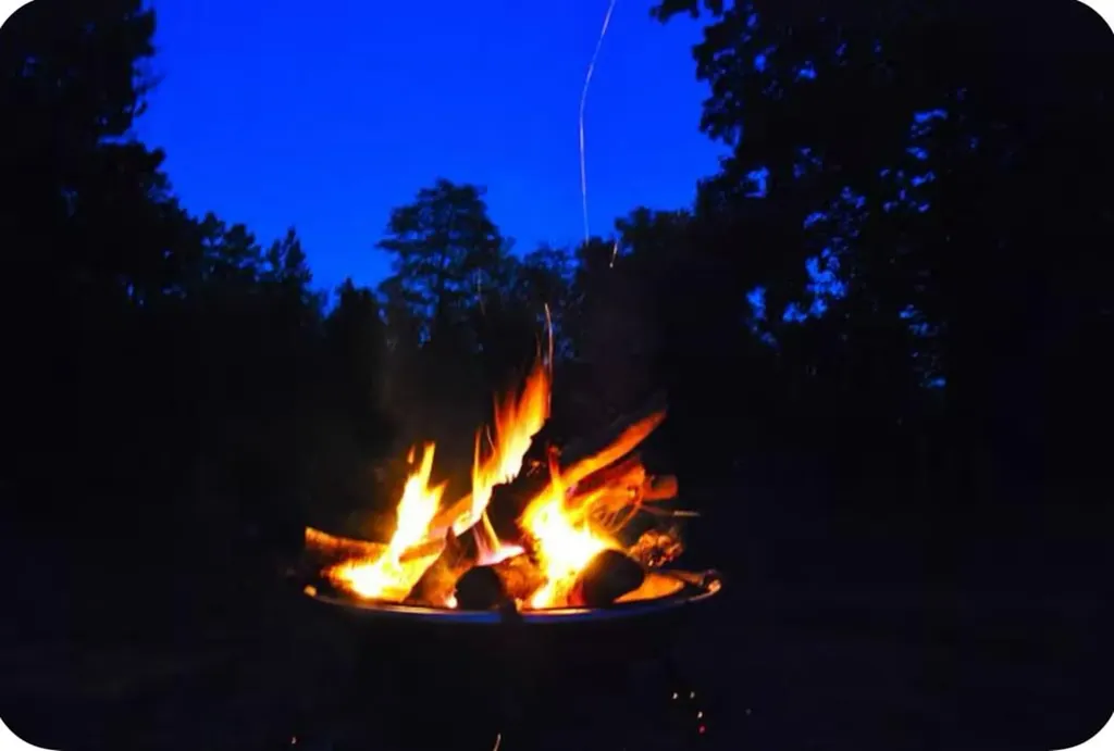 301 Jimmy Reneau Road Celina TN 38551