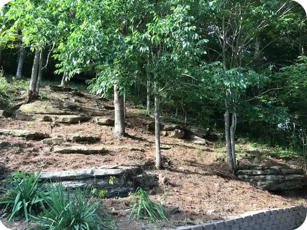 301 Jimmy Reneau Road Celina TN 38551