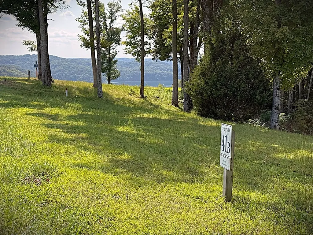 41B Bald Eagle Road Hilham TN 38568