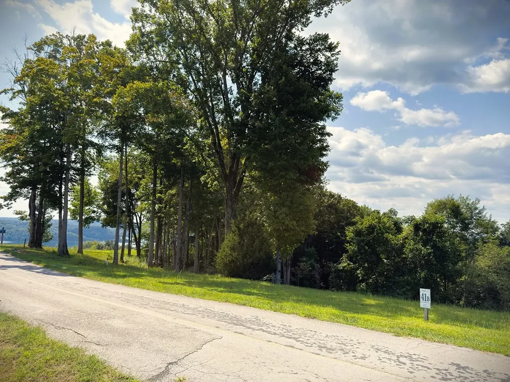 41B Bald Eagle Road Hilham TN 38568
