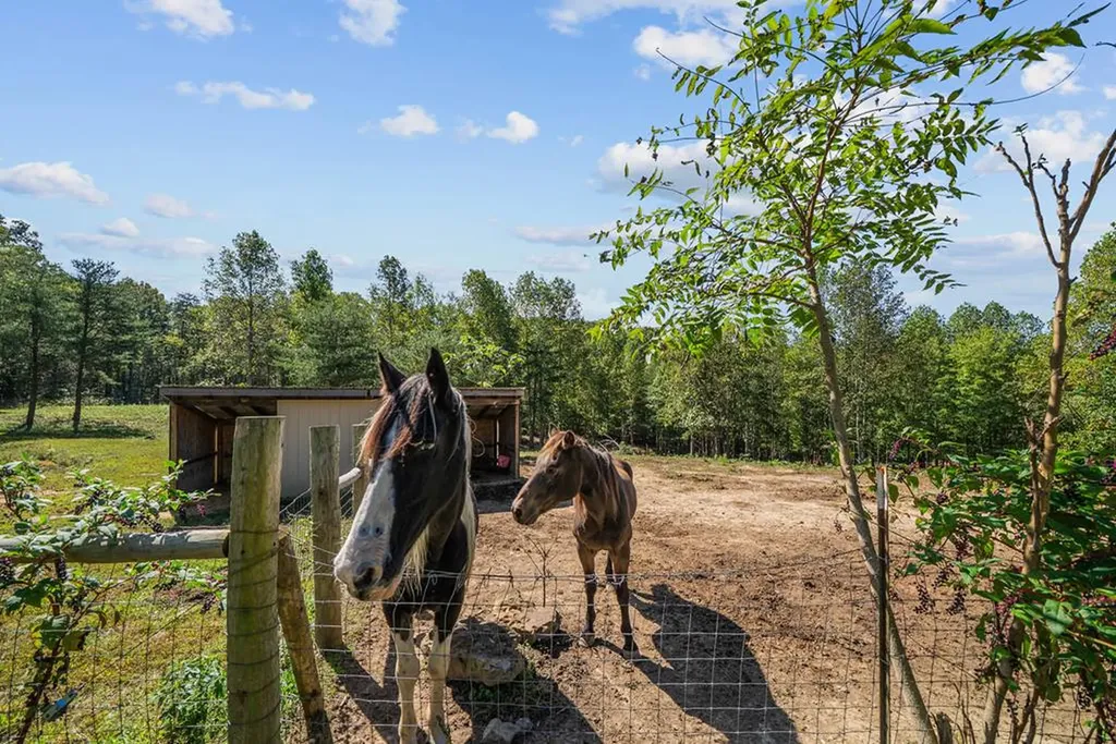 1301 Valley View Road Crossville TN 38572