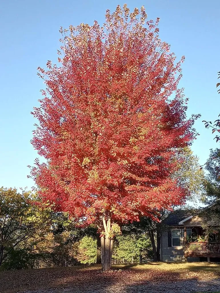 1301 Valley View Road Crossville TN 38572