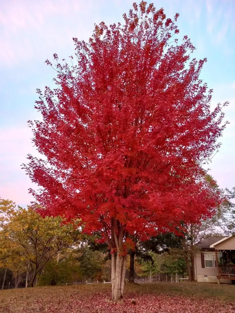 1301 Valley View Road Crossville TN 38572