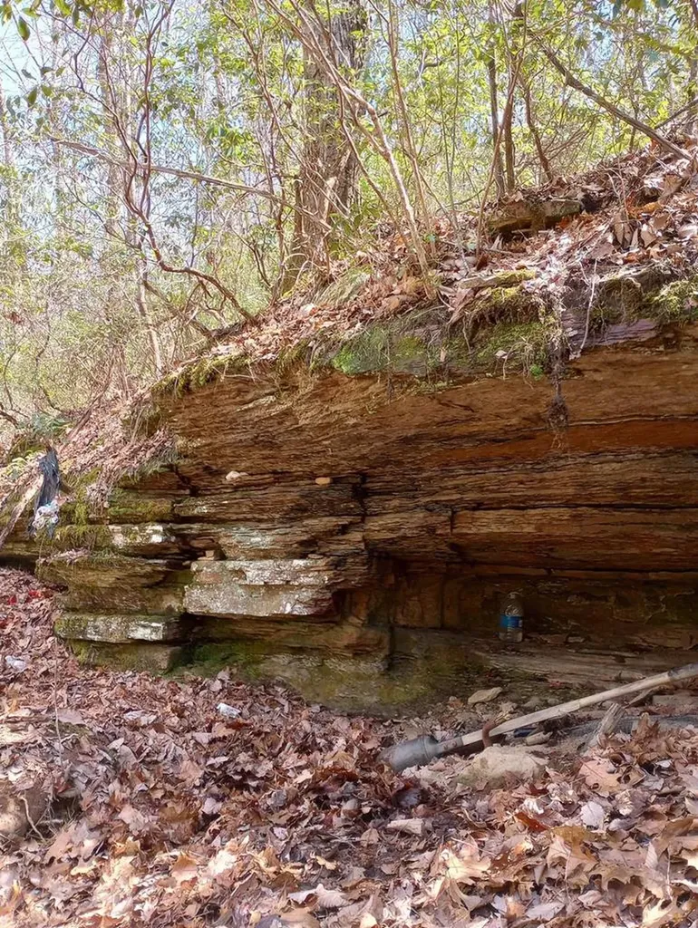 1301 Valley View Road Crossville TN 38572