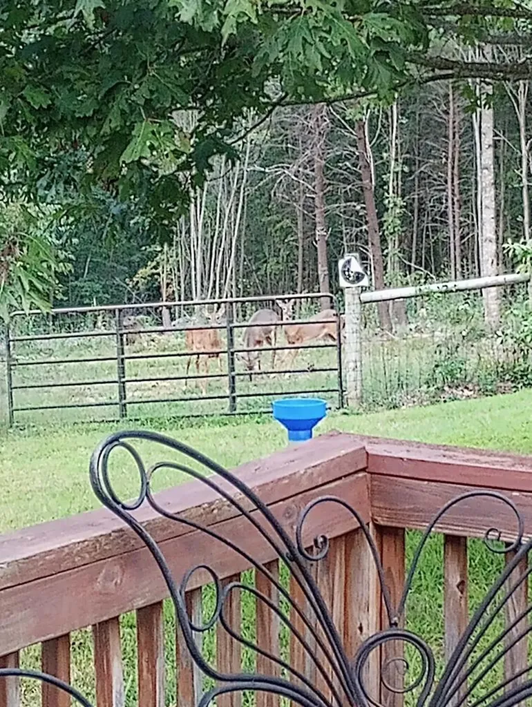 1301 Valley View Road Crossville TN 38572