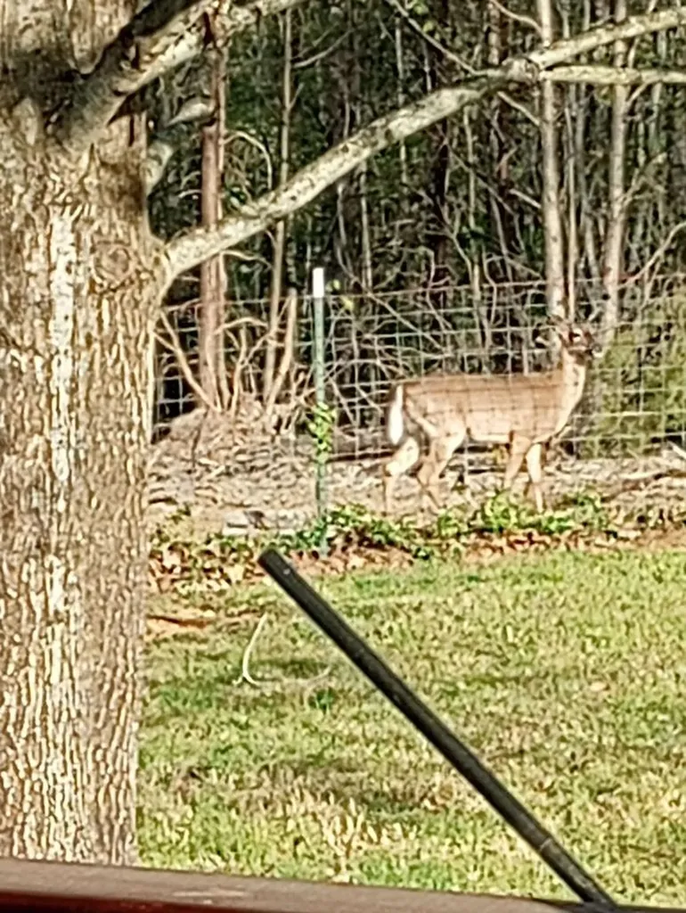 1301 Valley View Road Crossville TN 38572