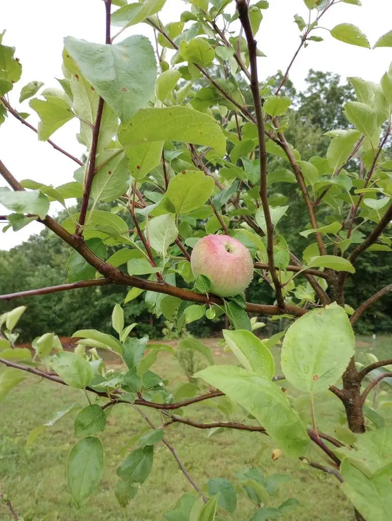 1301 Valley View Road Crossville TN 38572