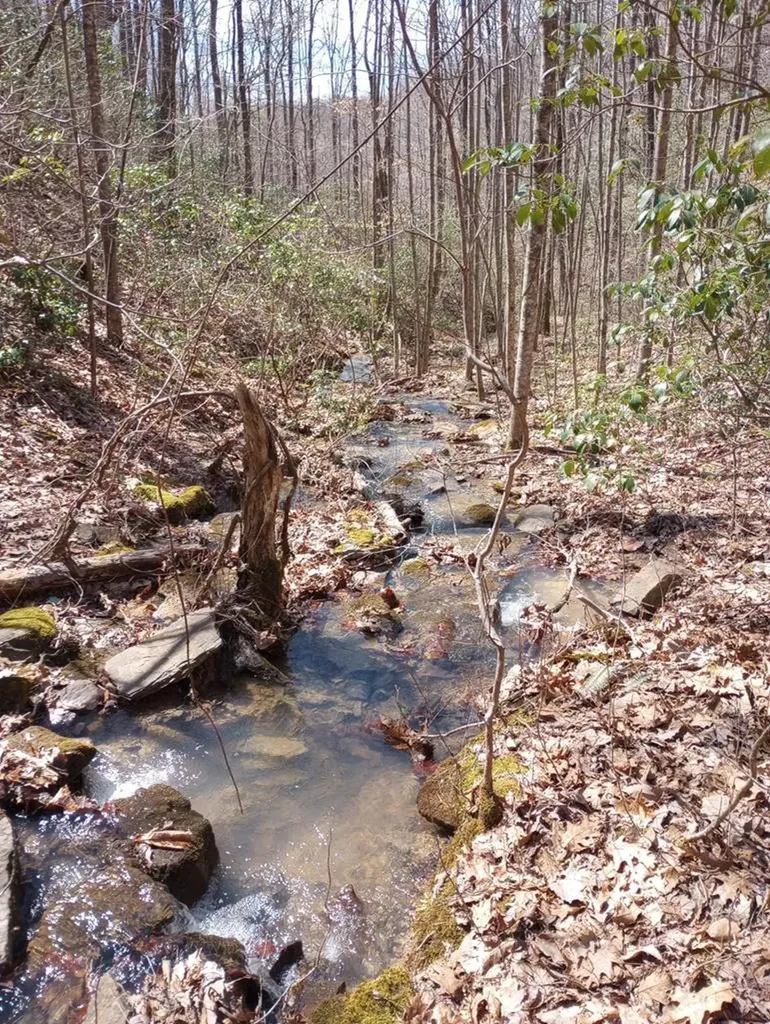 1301 Valley View Road Crossville TN 38572