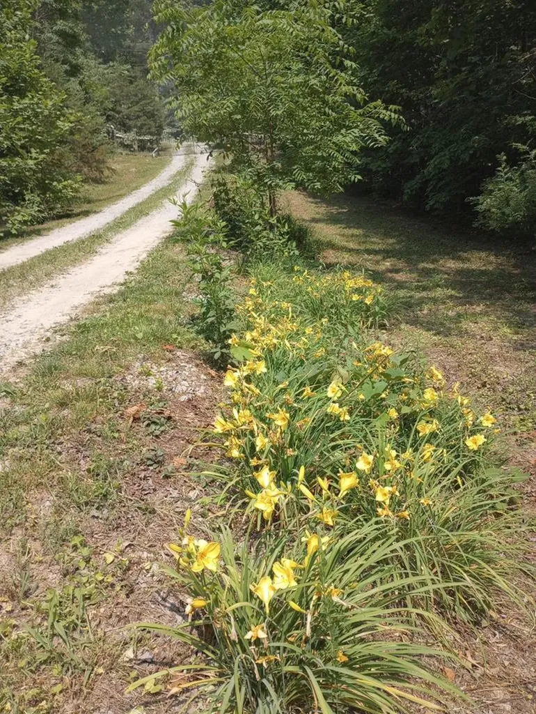 1301 Valley View Road Crossville TN 38572