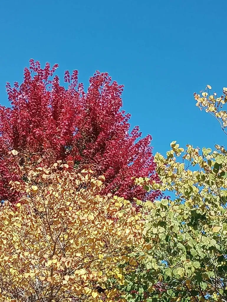 1301 Valley View Road Crossville TN 38572