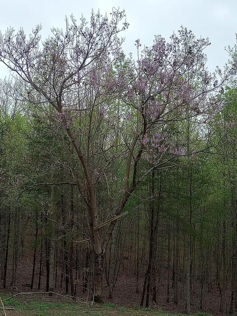 1301 Valley View Road Crossville TN 38572