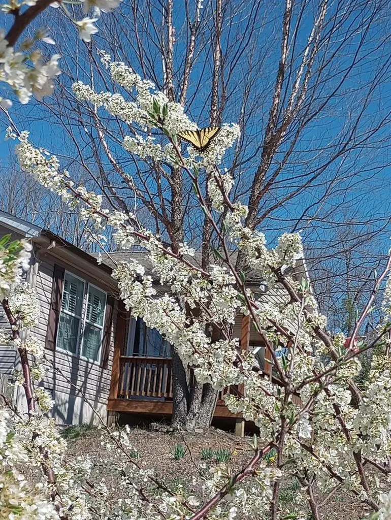 1301 Valley View Road Crossville TN 38572