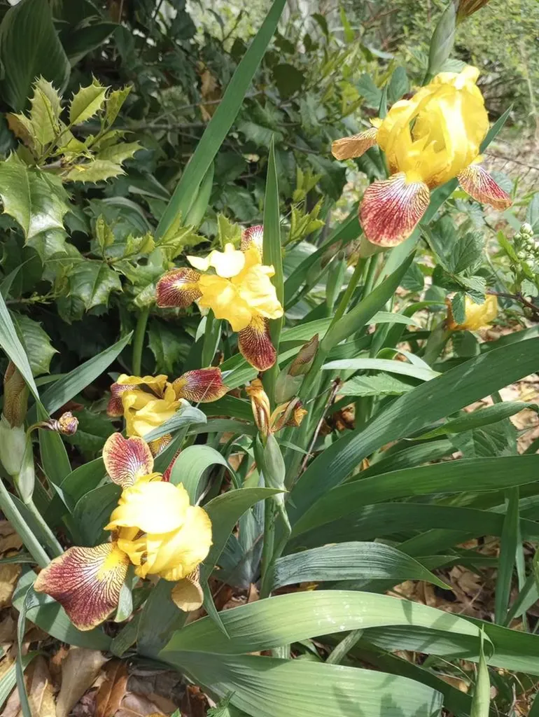 1301 Valley View Road Crossville TN 38572