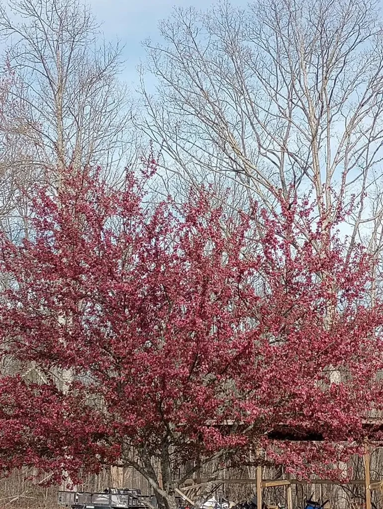 1301 Valley View Road Crossville TN 38572