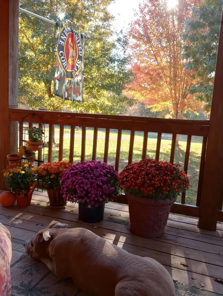 1301 Valley View Road Crossville TN 38572