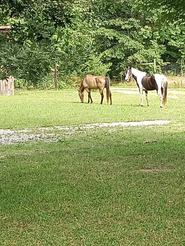 1301 Valley View Road Crossville TN 38572