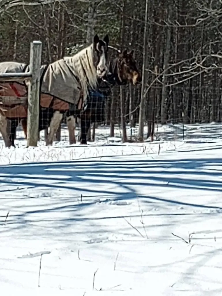 1301 Valley View Road Crossville TN 38572