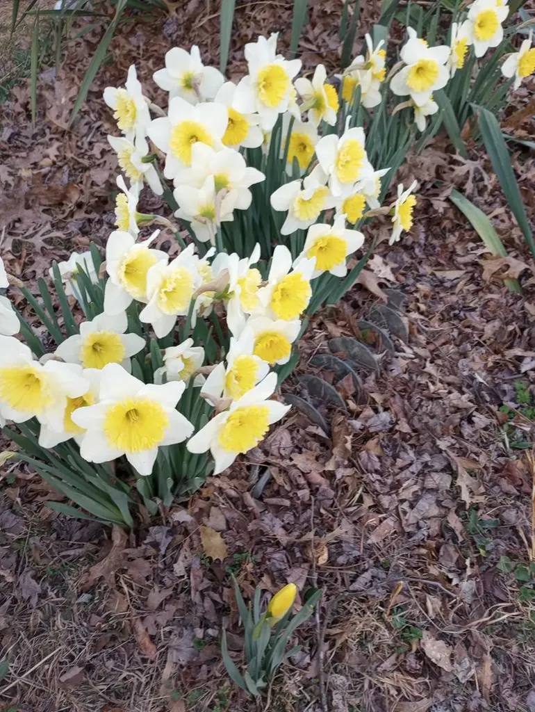 1301 Valley View Road Crossville TN 38572