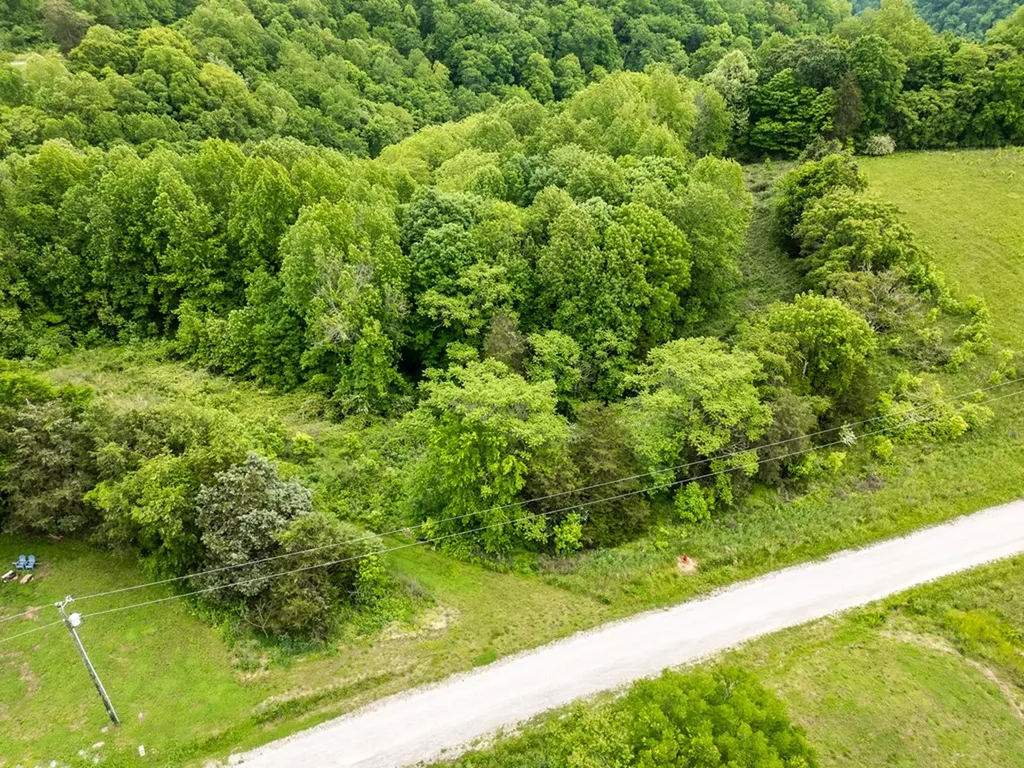 Lot 32 Lake Bluff Road Baxter TN 38544