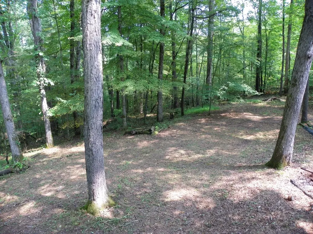 1555 Brown Creek Drive Crossville TN 38571