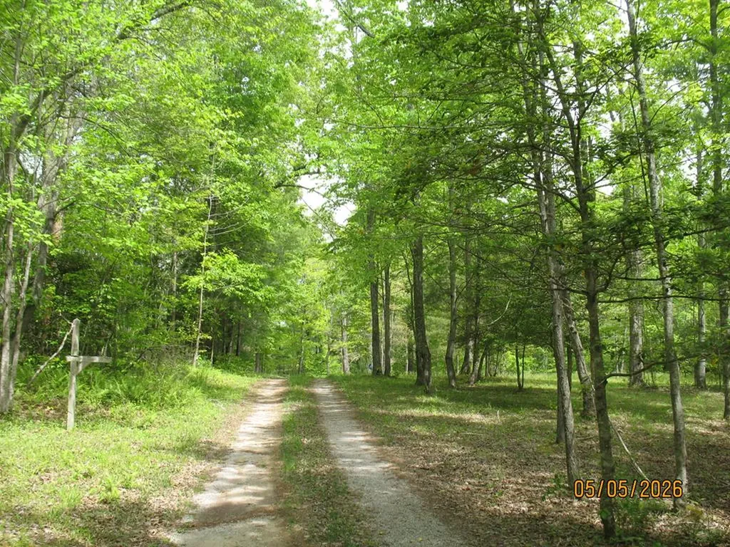 1555 Brown Creek Drive Crossville TN 38571