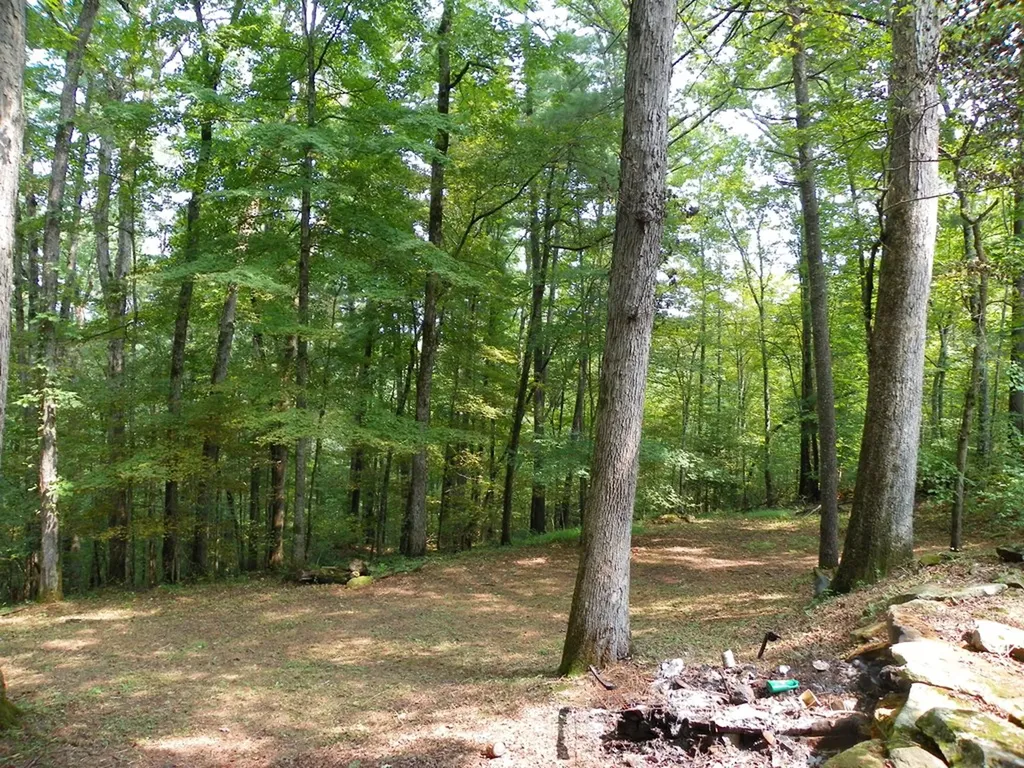 1555 Brown Creek Drive Crossville TN 38571