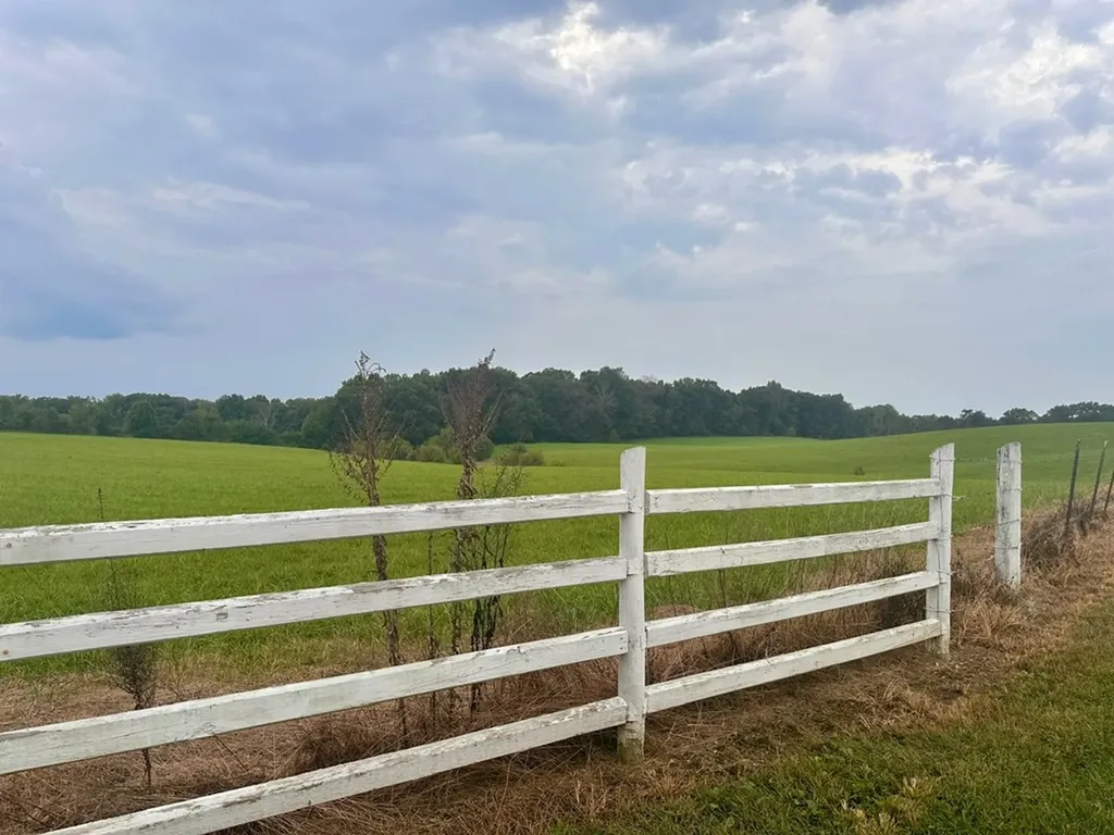 12343 Griffith Road Pikeville TN 37367