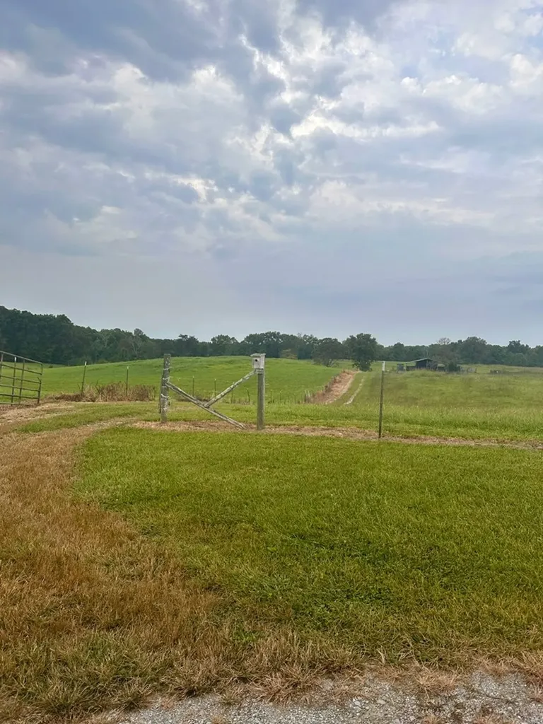 12343 Griffith Road Pikeville TN 37367