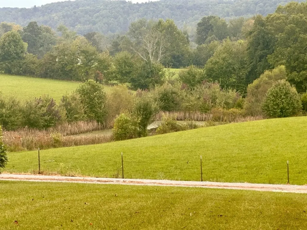 12343 Griffith Road Pikeville TN 37367