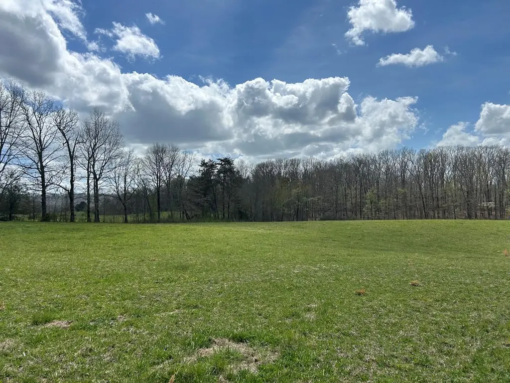 12343 Griffith Road Pikeville TN 37367