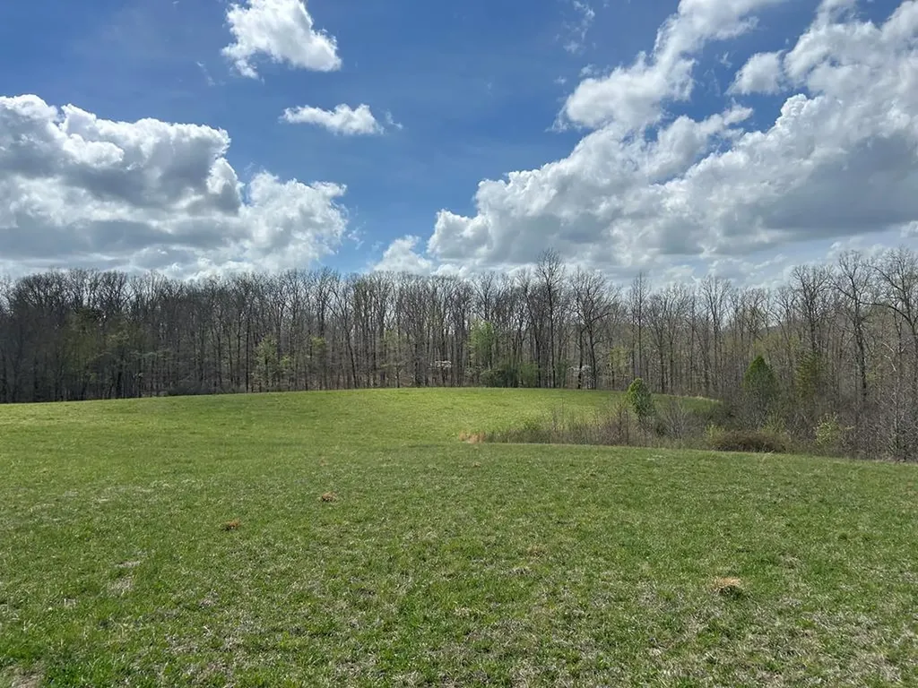 12343 Griffith Road Pikeville TN 37367