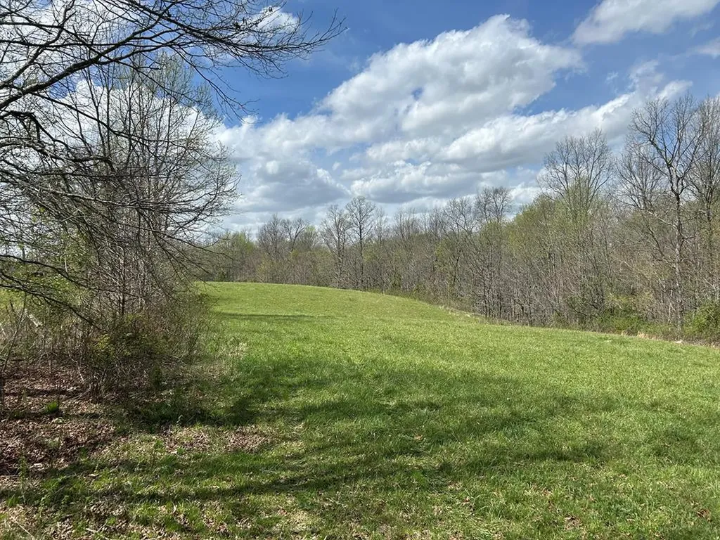 12343 Griffith Road Pikeville TN 37367