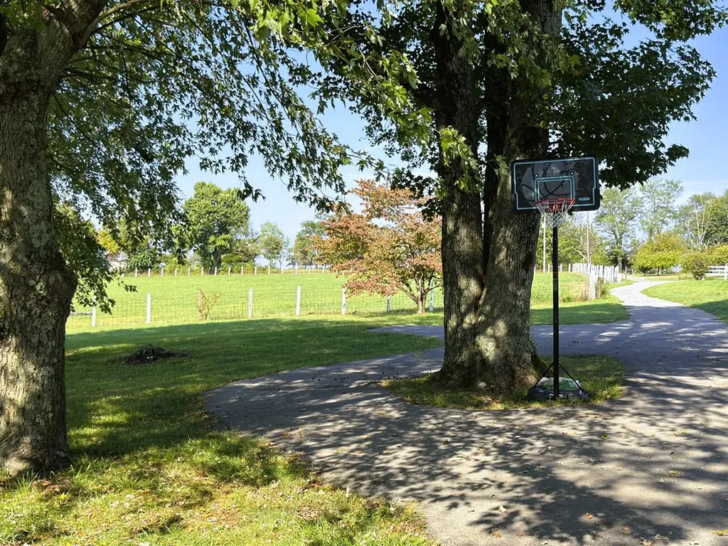 166 Gray Lane Allons TN 38541