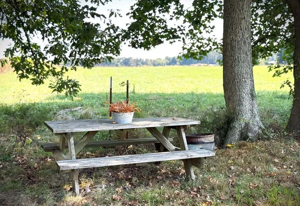 166 Gray Lane Allons TN 38541